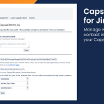 Manage who can view the information displayed by CapulseCRM for Jira.